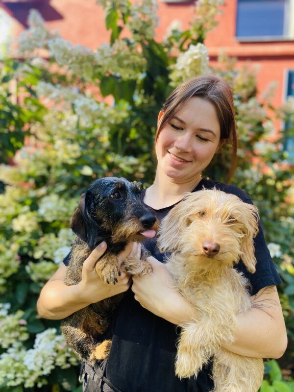 DogDay - ein Erlebnistag für Hunde  (zum selber bringen)
