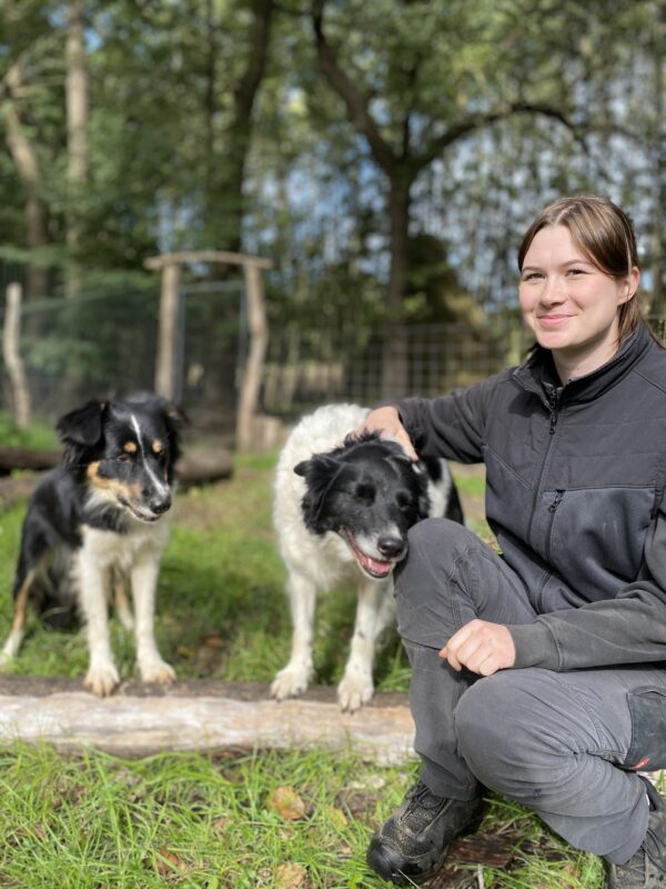 DogDay - ein Erlebnistag für Hunde  (zum selber bringen) – Bild 2