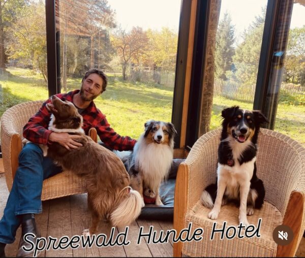 Deluxe Übernachtung im Hunde-Hotel - auch einzelne Nächte buchbar – Bild 9
